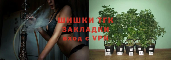 СК Корсаков