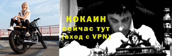 СК Корсаков