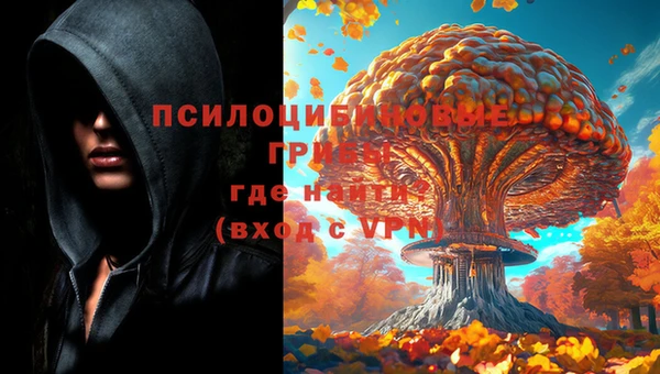 альфа пвп Козельск