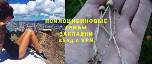 первитин Костерёво