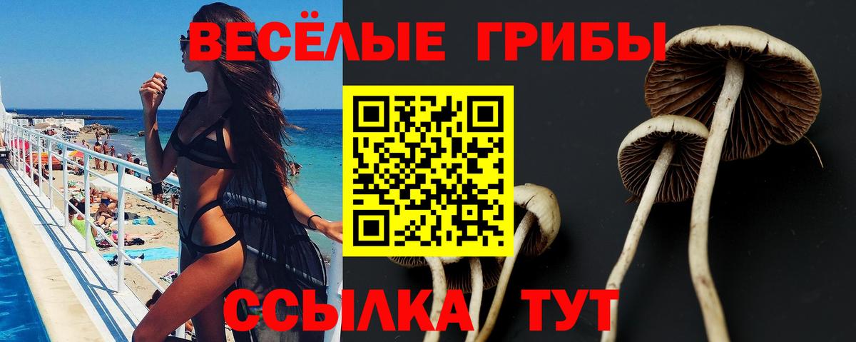 Псилоцибиновые грибы Cubensis  Симферополь 