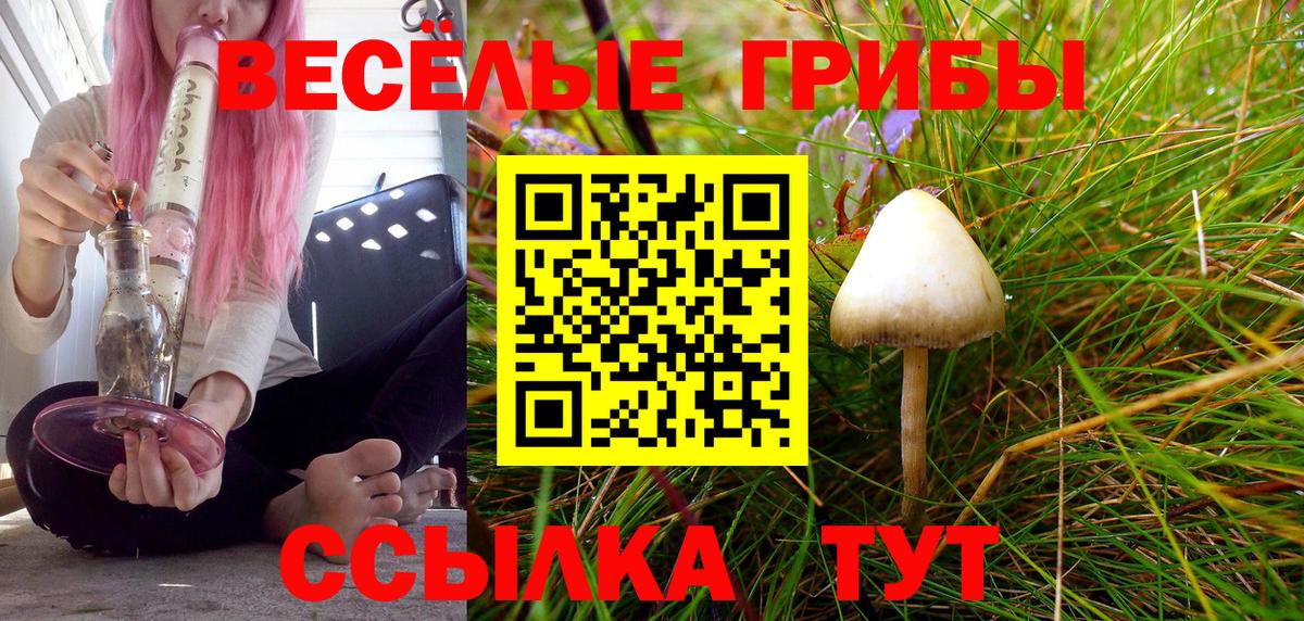 Псилоцибиновые грибы мухоморы Симферополь